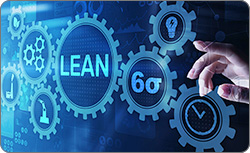 Lean Six Sigma Black Belt with 1-on-1 Project Coaching