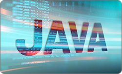 Certified Java Developer