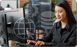 Full Stack Software Developer