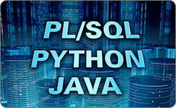 Oracle SQL and PL/SQL + Python Developer + Java Developer