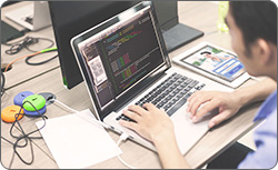 Python Developer
