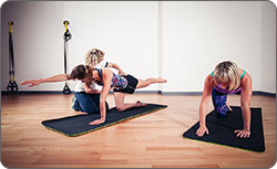 NASM Corrective Exercise Specialist (CES)
