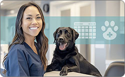 Veterinary Office Manager