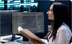 Certified Information Systems Auditor (CISA)