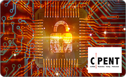 Certified Penetration Testing Professional (CPENT)