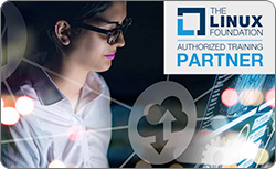 Cloud Engineer IT Professional Program