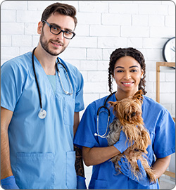 Career Exploration Courses