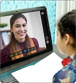 Online Teaching Support Courses